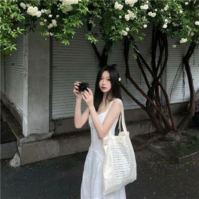 清宫气数录粤语